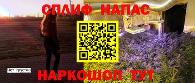 индика Вязьма