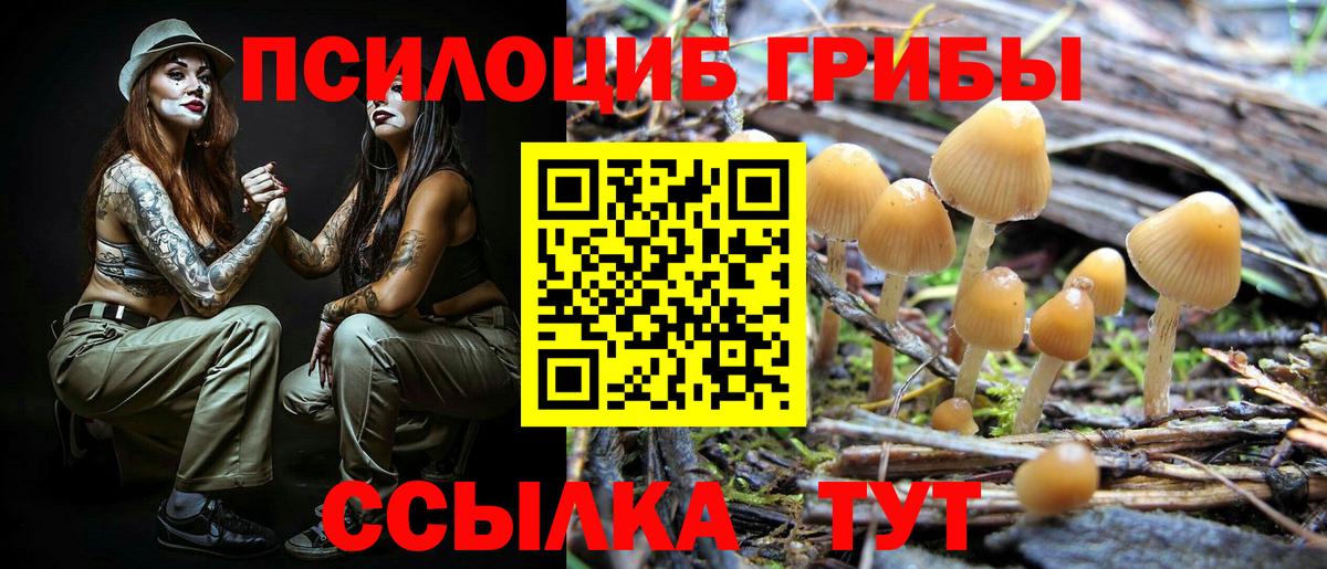 Галлюциногенные грибы прущие грибы  Вход с VPN  Ессентуки 