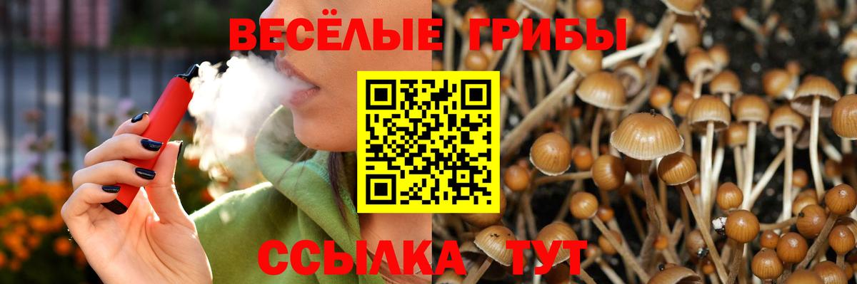 Галлюциногенные грибы мухоморы Ессентуки