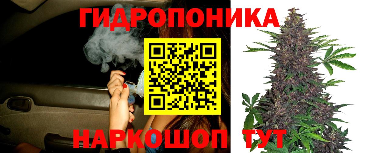 Канабис OG Kush  Вход с VPN  Бошки марихуана OG Kush  Ессентуки  Бошки Шишки White Widow 